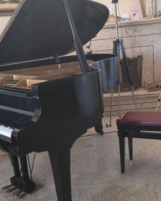 Pianoforte a mezza coda