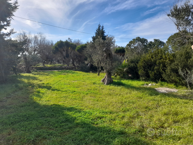 Vendita terreno panoramico