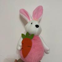 Coniglietto decorativo pascqua