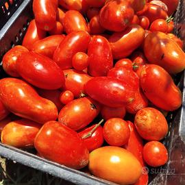 Pomodori