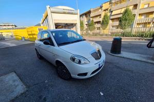 ypsilon Diva 2011