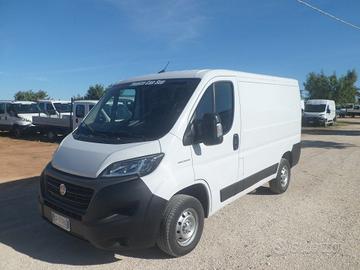 Fiat Ducato furgone tetto basso