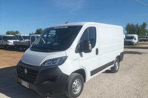 Fiat Ducato furgone tetto basso