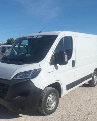 Fiat Ducato furgone tetto basso