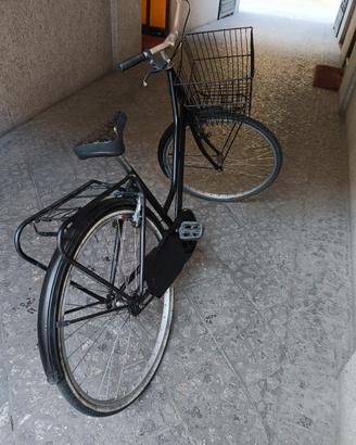 bicicletta donna senza cambio 