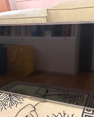 Tv  Sony 48 pollici