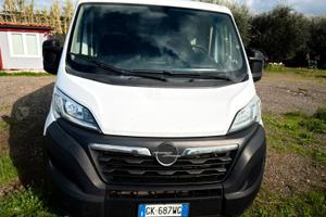 Opel Movano L1H1 - 2022