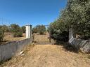 terreno-con-due-fabbricati-a-due-passi-dal-mare