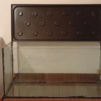 Acquari,accessori e decorazioni.