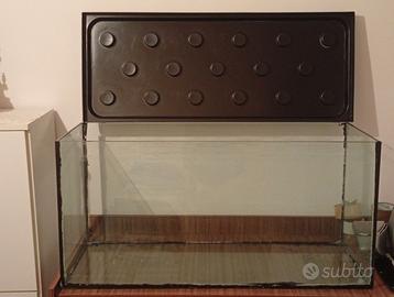 Acquari,accessori e decorazioni.