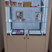 vetrina per esposizione 