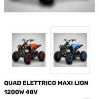 Quad Lion Elettrico