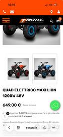 Quad Lion Elettrico