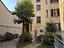 Immagine 19