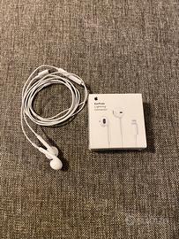 Apple air pods Lightning