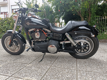 Harley-davidson fat bob dyna