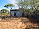 casale-200-mq-con-5000-mq-di-terreno-a-belpasso