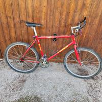biciclette VINER