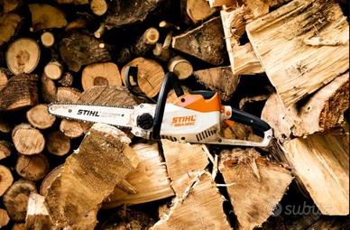 Legna in omaggio a chi taglia pini e altri alberi