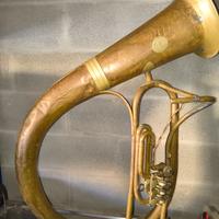 Filicorno Carlo Alberi Milano