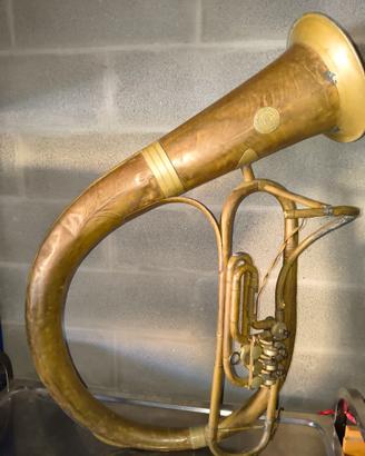 Filicorno Carlo Alberi Milano