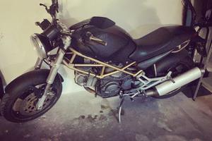 ducati monster