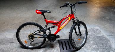 Bicicletta Mountain Bike