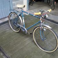 Bici Panther