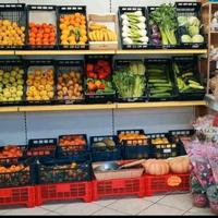 Titolare attività AVVIATA