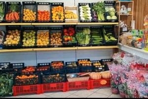 Titolare attività AVVIATA