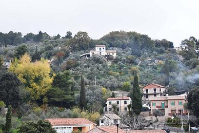 Terreno Edificabile - Monreale