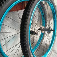 ruote mtb 24"