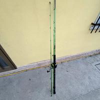 Canna da pesca madcat