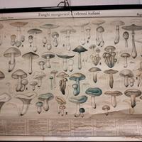 Cartina vintage anni 60/70 complemento d'arredo