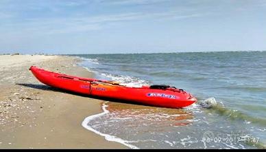 kayak 