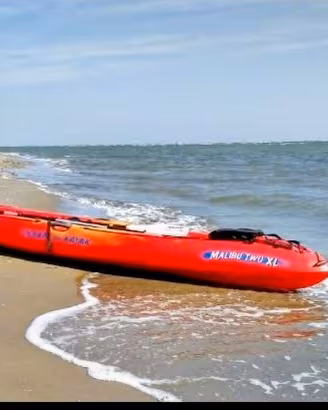 kayak 