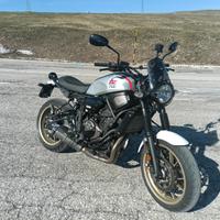 xsr 700 xtribute