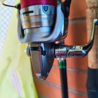 mulinello pesca daiwa