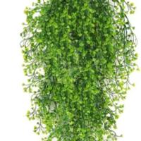 10 cascanti  NUOVI IMBALLATI 