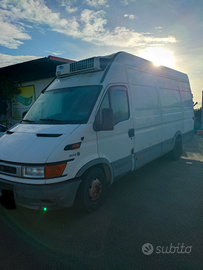 Iveco 35C13 con cella frigo