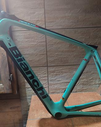 telaio da corsa bianchi