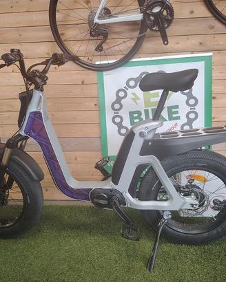 Ebike Fat Fantic Issimo