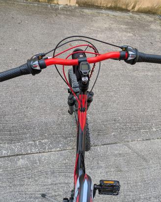 MTB 24" Vicini Absorber - Revisionata Pronta