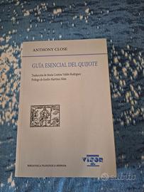 Guía esencial del Quijote, Anthony Close