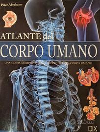 Atlante del corpo umano di Peter Abrahams