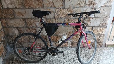 Giant -mountain bike " 28