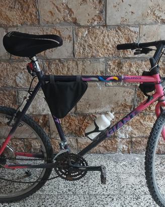 Giant -mountain bike " 28