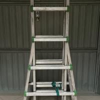 Scala Telescopica 6 gradini in alluminio