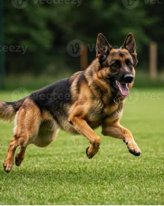 PARABIAGO ZONA STAZIONE - CENTRO