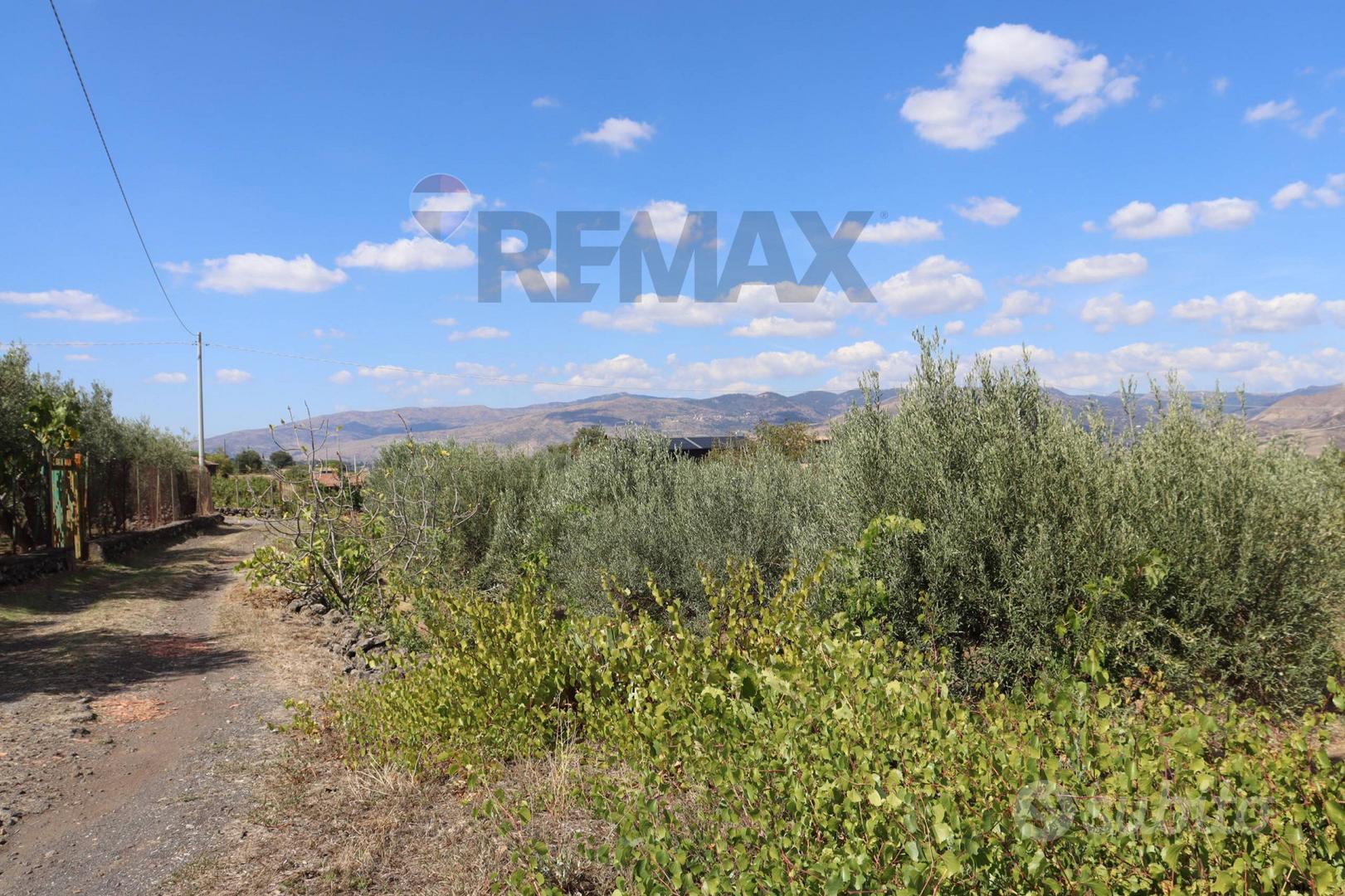 Terreno - Castiglione di Sicilia - Vista 2